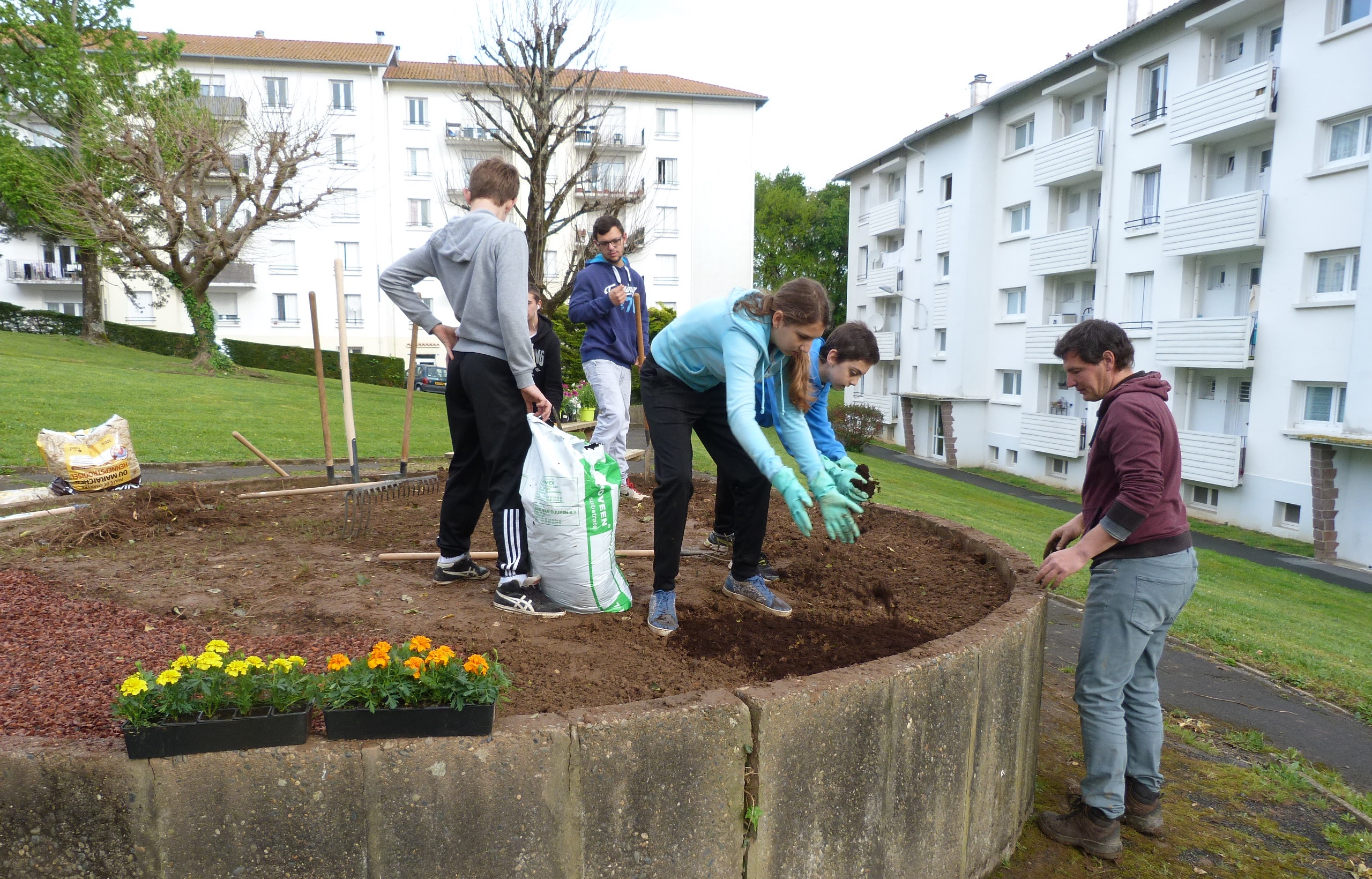 Les jardins partagés à l'honneur 